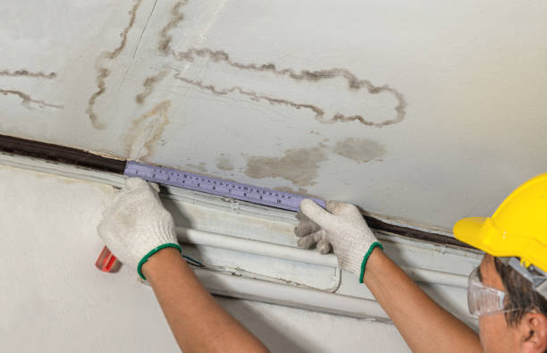 Reliable Water Damage contractor in Bailey, MI by Water Damage Irwin